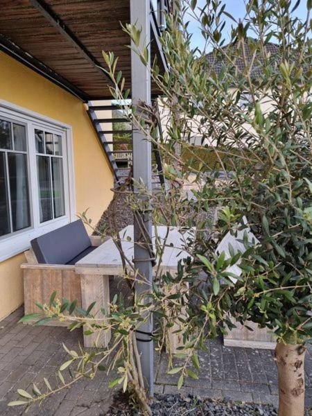 Haus Elke Apartment Blankenrath ภายนอก รูปภาพ